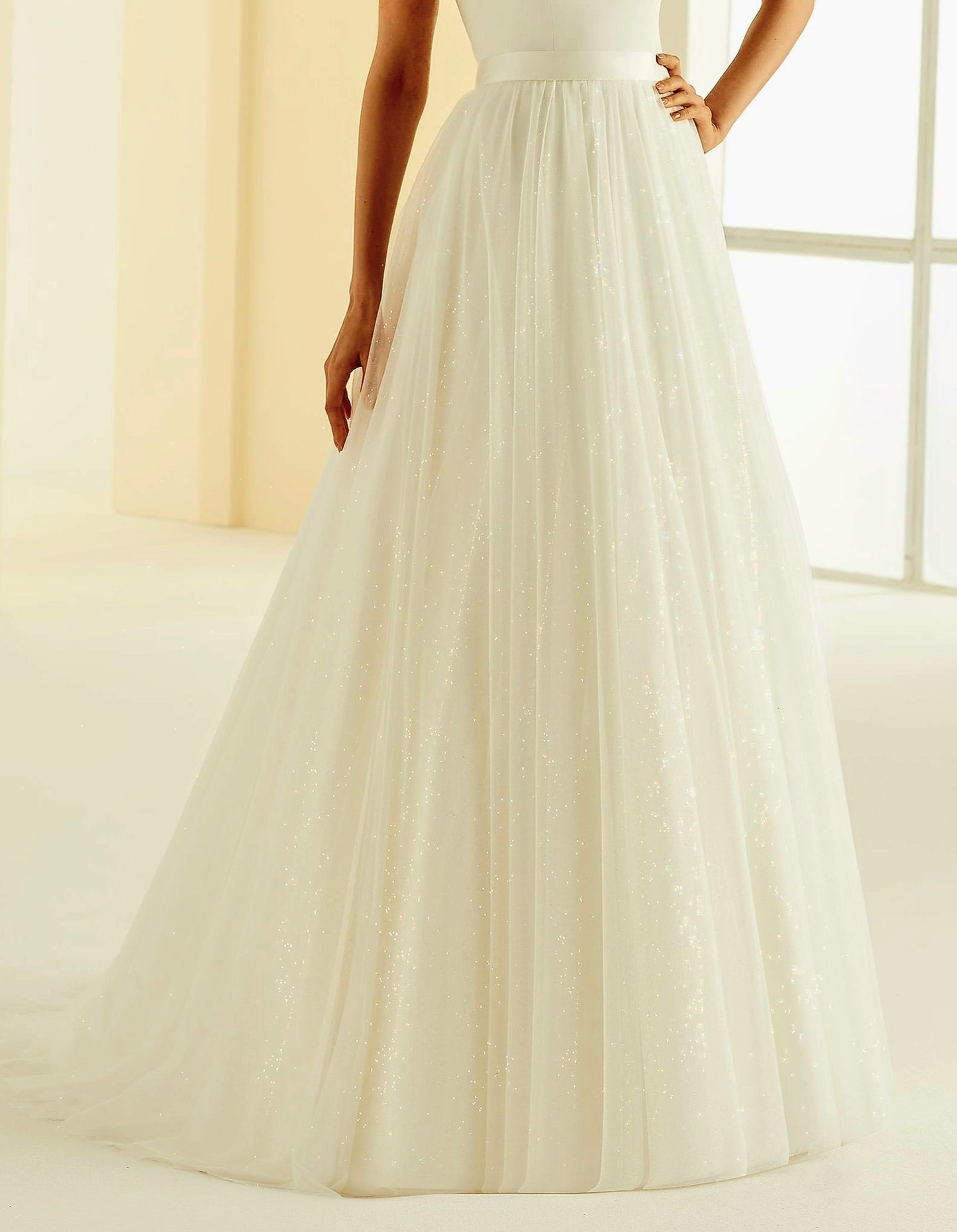 Overskirt Transparent Sparkle Tulle Ivory